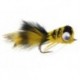 Puffed Up Croaker