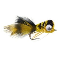 Puffed Up Croaker