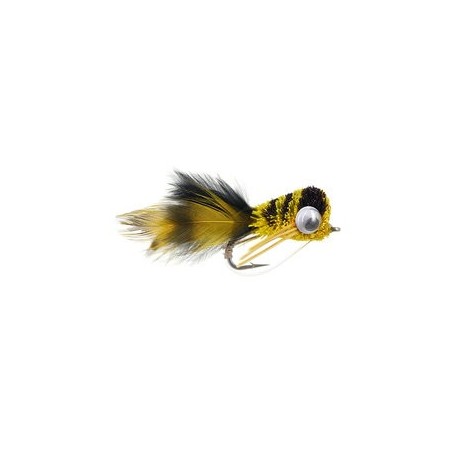 Puffed Up Croaker