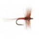 Small Red Allrounder