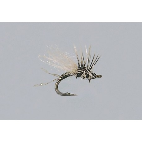 Smith's Crippled Bwo