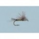 Smith's Flying Ant Black
