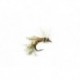 Smith's Flying Ant Cinnamon