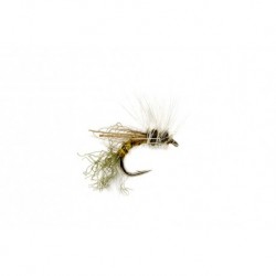 Smith's Flying Ant Cinnamon
