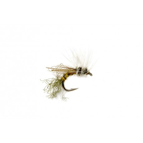 Smith's Flying Ant Cinnamon