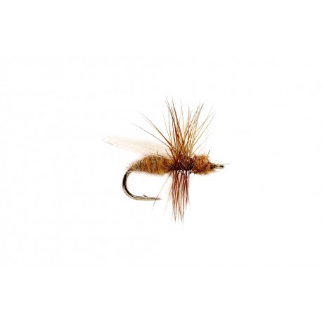 Smiths Bwo Striving Dun