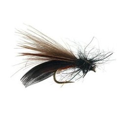 Smothie CDC Sedge
