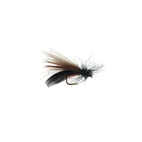 Smothie CDC Sedge