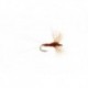 Snowshoe Spinner Brown
