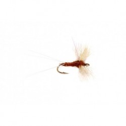 Snowshoe Spinner Brown