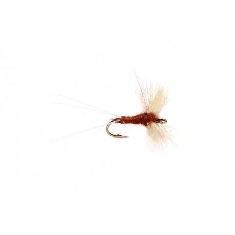 Snowshoe Spinner Brown