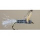 Sparkle Dun Callibaetis