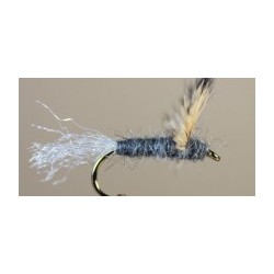 Sparkle Dun Callibaetis