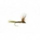 Sparkle Dun Olive