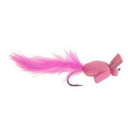 Polly Wog