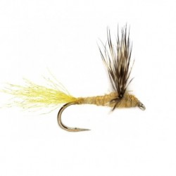 Sparkle Dun Sulfur