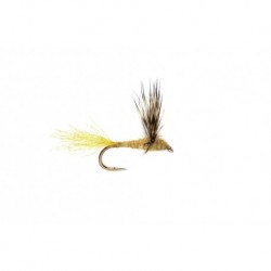 Sparkle Dun Sulphur