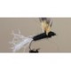 Sparkle Dun Trico