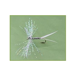 Sparkling Spinner