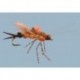 Spencers Chewy Stone Salmonfly