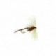 Spent Mayfly