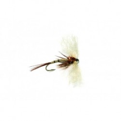 Spent Mayfly