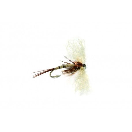 Spent Mayfly
