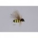 Rainy Bitty Bee