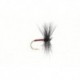 Spider Black