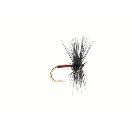 Spider Black