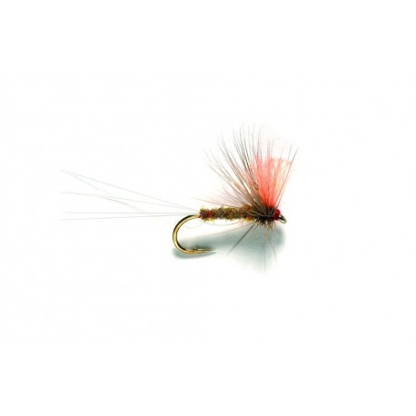 Spinner Apricot