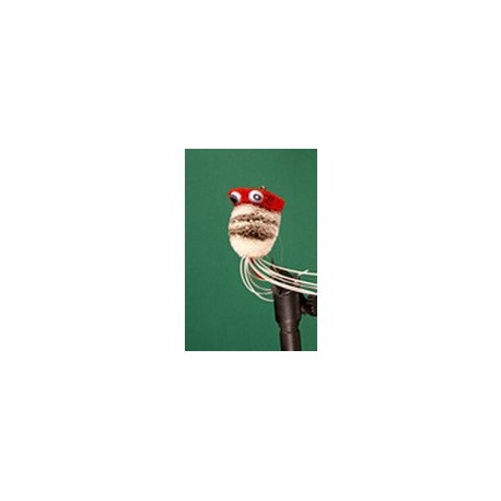 Red and White Dancing Frog