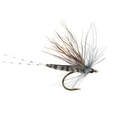 Spinner Hair Wings Grey