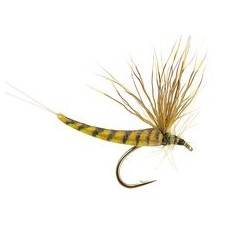 Spinner Hair Wings Olive