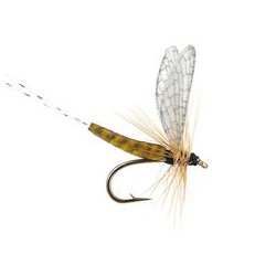 Spinner Realistic Wings Brown