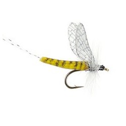 Spinner Realistic Wings Olive