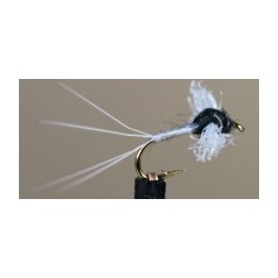Spinner Trico
