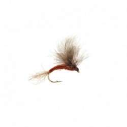 Splitsville Emerging Dun Brown