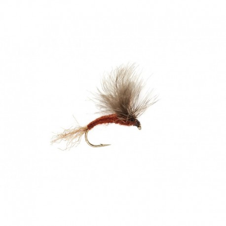 Splitsville Emerging Dun Brown
