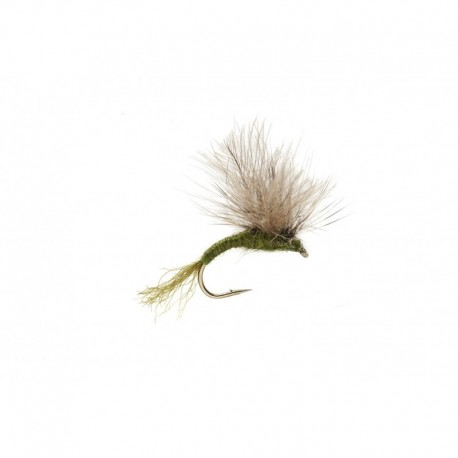 Splitsville Emerging Dun Olive