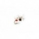 Splitsville Fly Ant Black & Red