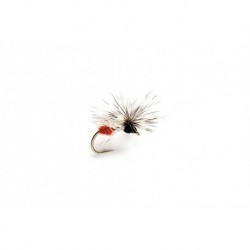 Splitsville Fly Ant Black & Red