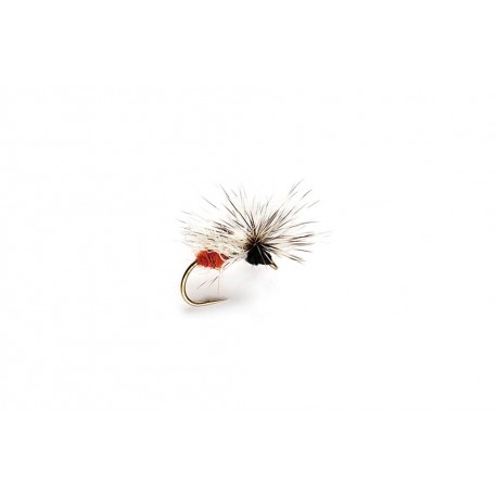 Splitsville Fly Ant Black & Red