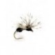 Splitsville Flying Ant