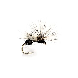 Splitsville Flying Ant