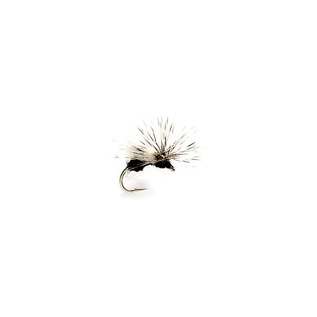 Splitsville Flying Ant