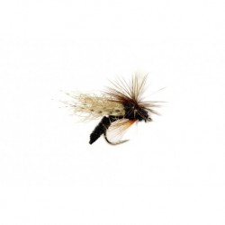 Spotlight Caddis Emerger Black