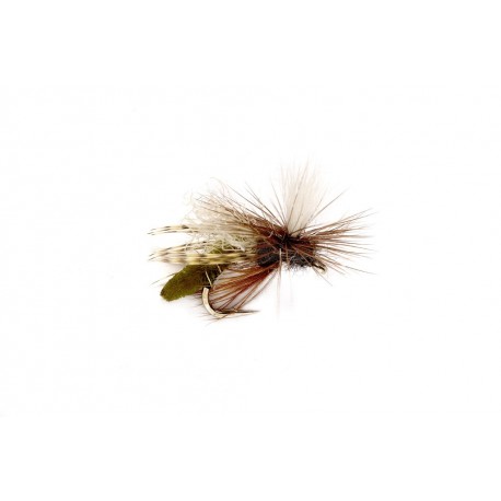 Spotlight Caddis Emerger Olive