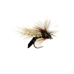 Spotlight Emerger Caddis