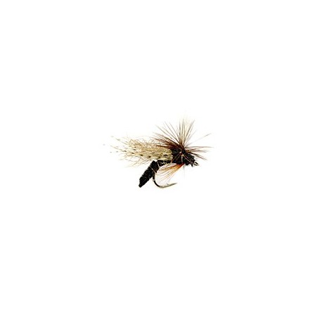 Spotlight Emerger Caddis